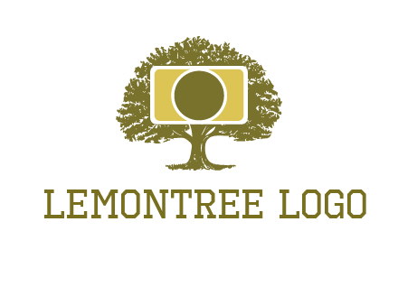 rectangle camera and tree photography logo
