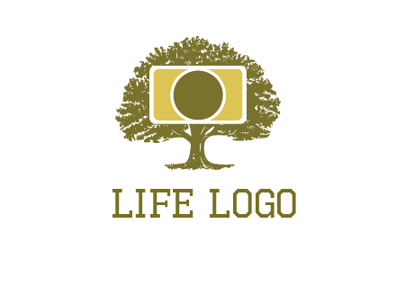 rectangle camera and tree photography logo