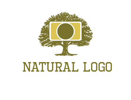 rectangle camera and tree photography logo