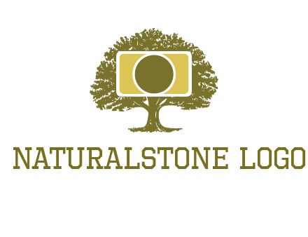 rectangle camera and tree photography logo