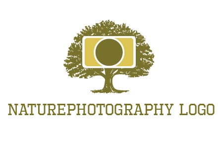 rectangle camera and tree photography logo