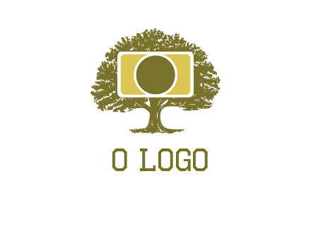 rectangle camera and tree photography logo