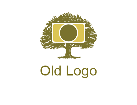 rectangle camera and tree photography logo