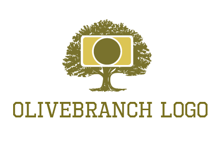 rectangle camera and tree photography logo