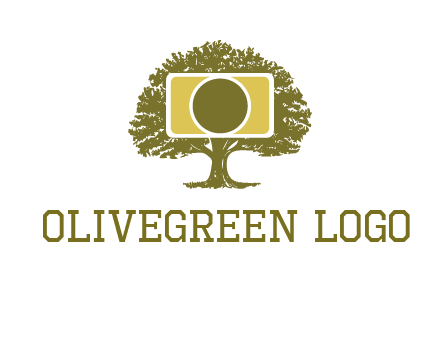 rectangle camera and tree photography logo