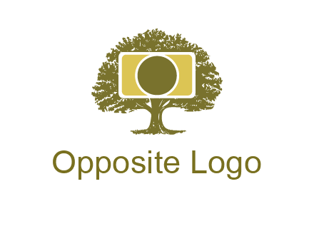 rectangle camera and tree photography logo