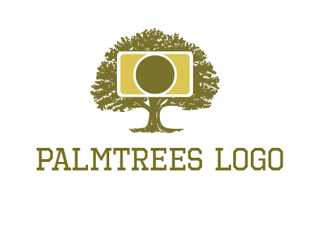 rectangle camera and tree photography logo