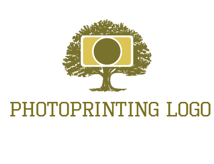 rectangle camera and tree photography logo