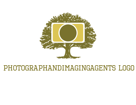 rectangle camera and tree photography logo