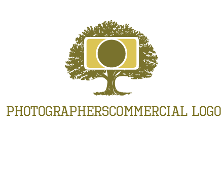 rectangle camera and tree photography logo