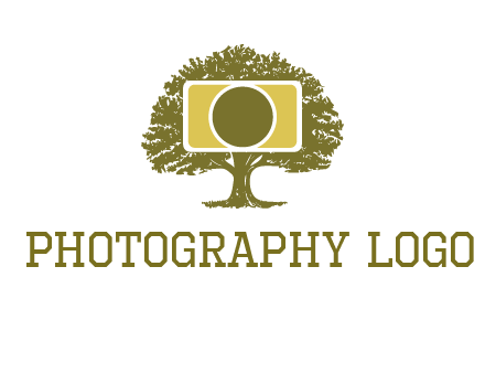 rectangle camera and tree photography logo