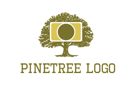 rectangle camera and tree photography logo