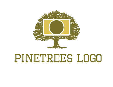 rectangle camera and tree photography logo