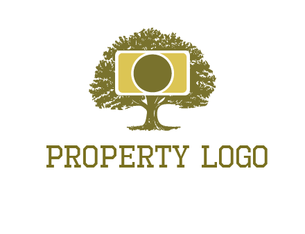 rectangle camera and tree photography logo