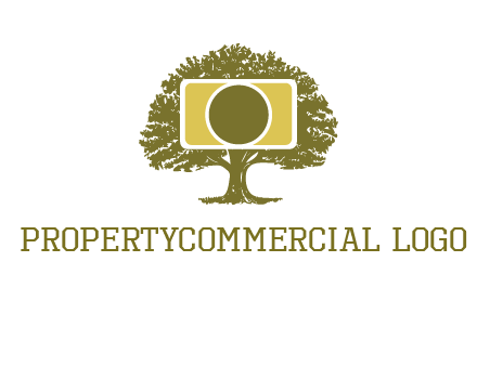 rectangle camera and tree photography logo