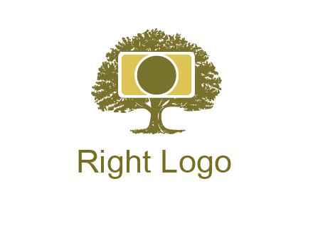 rectangle camera and tree photography logo
