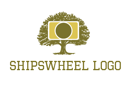 rectangle camera and tree photography logo