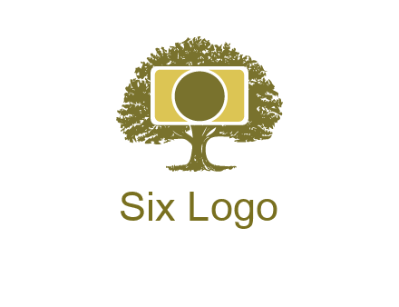 rectangle camera and tree photography logo