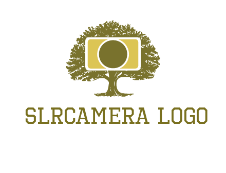 rectangle camera and tree photography logo