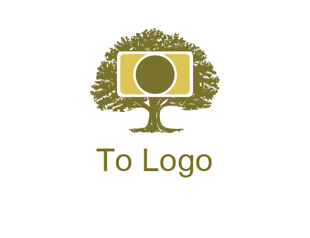 rectangle camera and tree photography logo