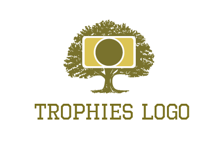 rectangle camera and tree photography logo