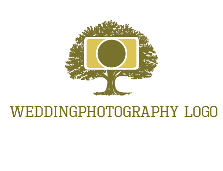 rectangle camera and tree photography logo