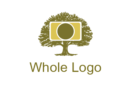 rectangle camera and tree photography logo
