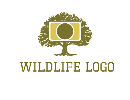 rectangle camera and tree photography logo