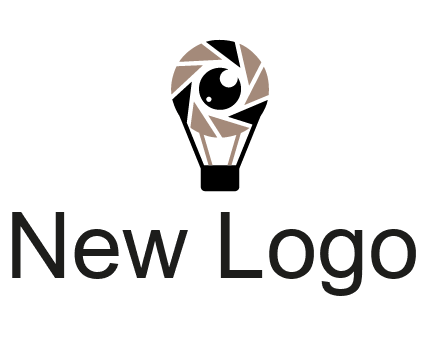 shutter with iris in air balloon photography logo