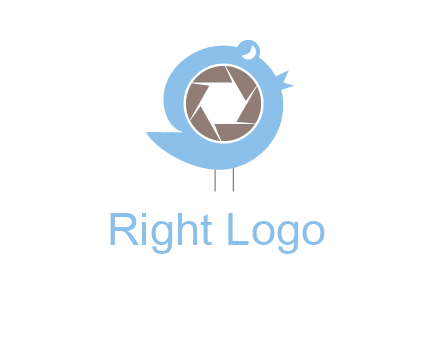 shutter in twitter bird photography logo