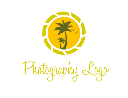 palm trees in sun shutter photography logo