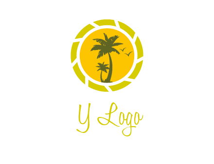 palm trees in sun shutter photography logo