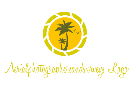 palm trees in sun shutter photography logo