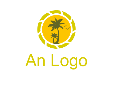 palm trees in sun shutter photography logo