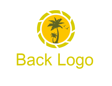 palm trees in sun shutter photography logo