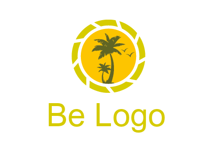 palm trees in sun shutter photography logo