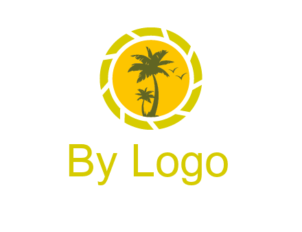 palm trees in sun shutter photography logo