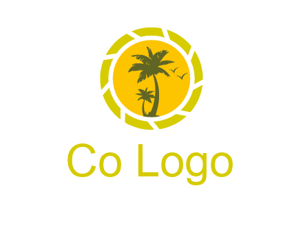 palm trees in sun shutter photography logo