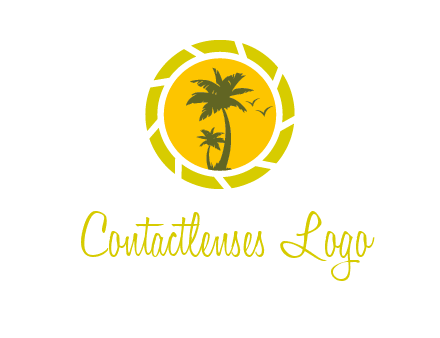 palm trees in sun shutter photography logo