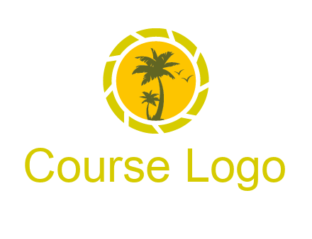 palm trees in sun shutter photography logo