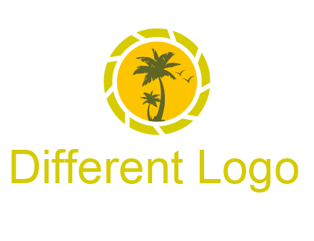 palm trees in sun shutter photography logo