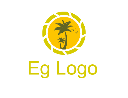 palm trees in sun shutter photography logo