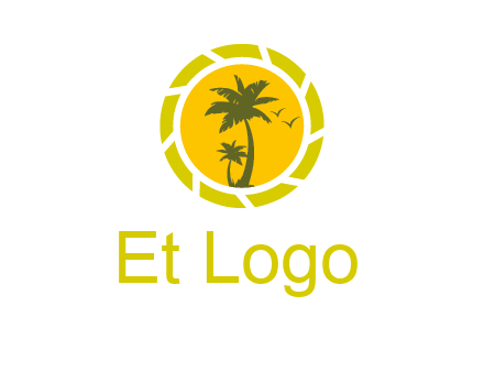 palm trees in sun shutter photography logo