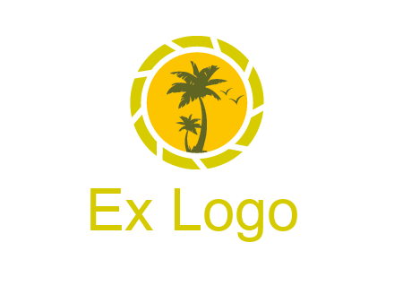 palm trees in sun shutter photography logo