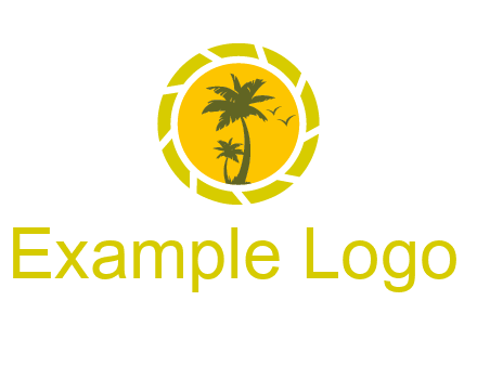 palm trees in sun shutter photography logo