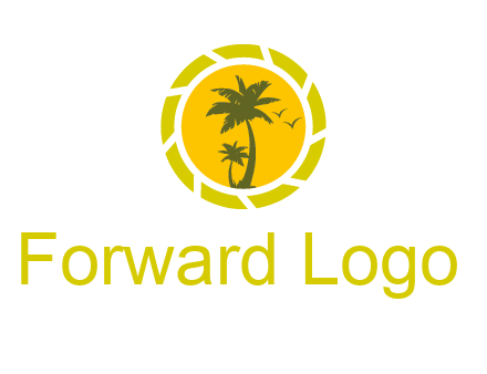 palm trees in sun shutter photography logo