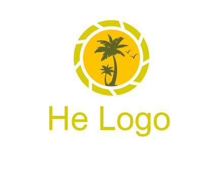 palm trees in sun shutter photography logo