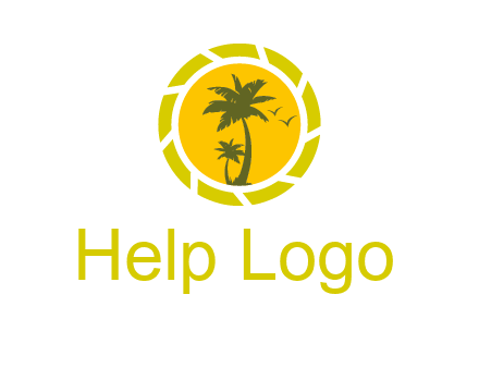 palm trees in sun shutter photography logo