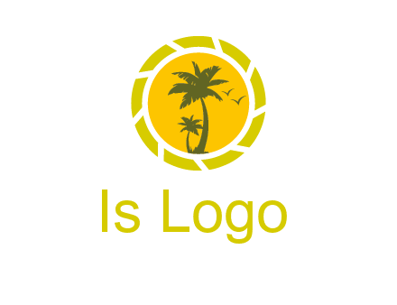 palm trees in sun shutter photography logo