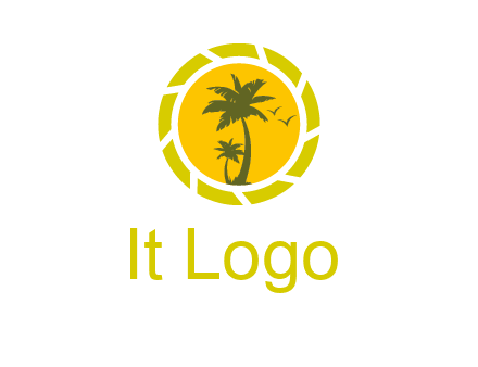 palm trees in sun shutter photography logo